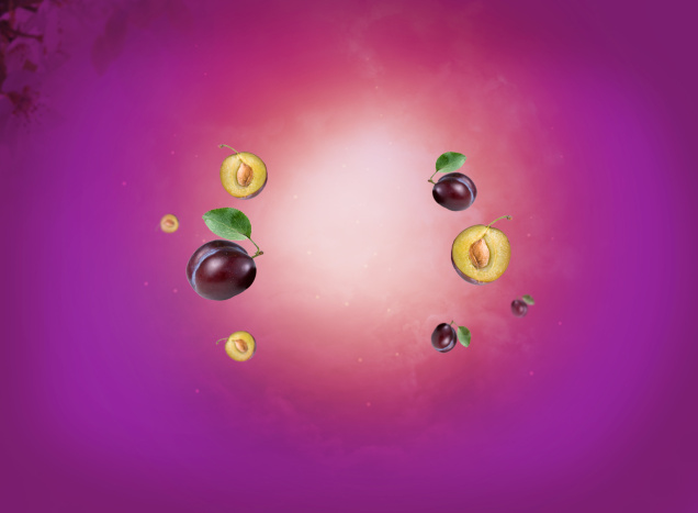 Vinaigre de prune 