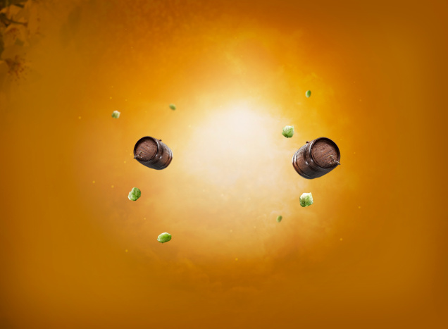 Vinaigre balsamique de bière