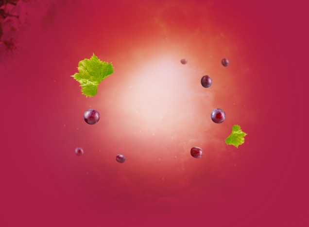 Vinaigre de vin rouge