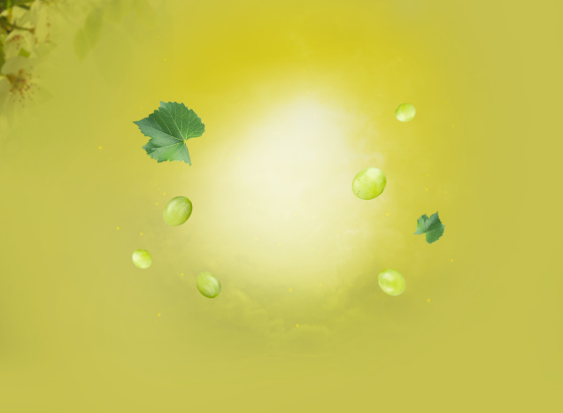 Vinaigre de vin blanc - bio